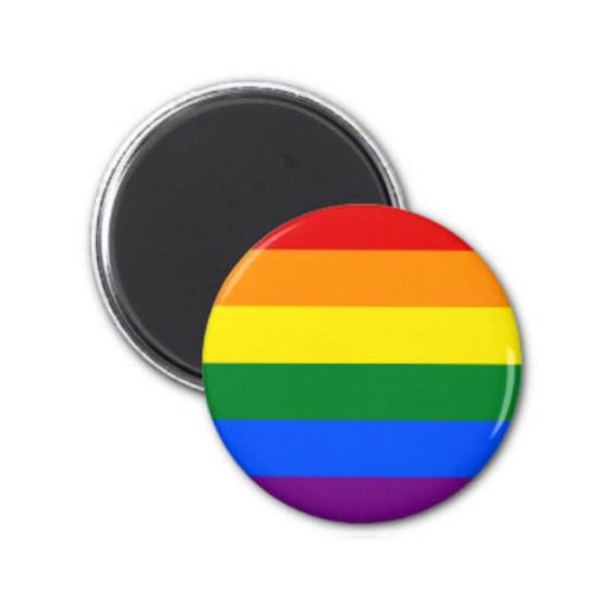 STOLZ - LGBT FLAGGEN-MAGNET